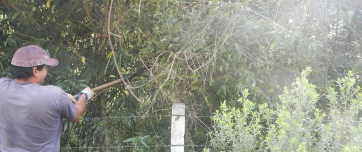 CERAN faz a manutenção das cercas que protegem Áreas de Preservação Permanente